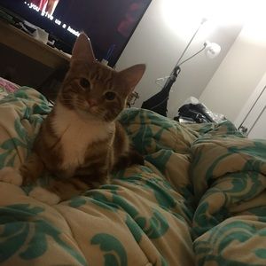 Meet your Posher, Anthony